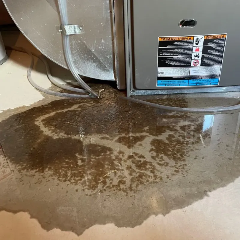 Pipe Burst and Leak Restoration in Lincoln, NE